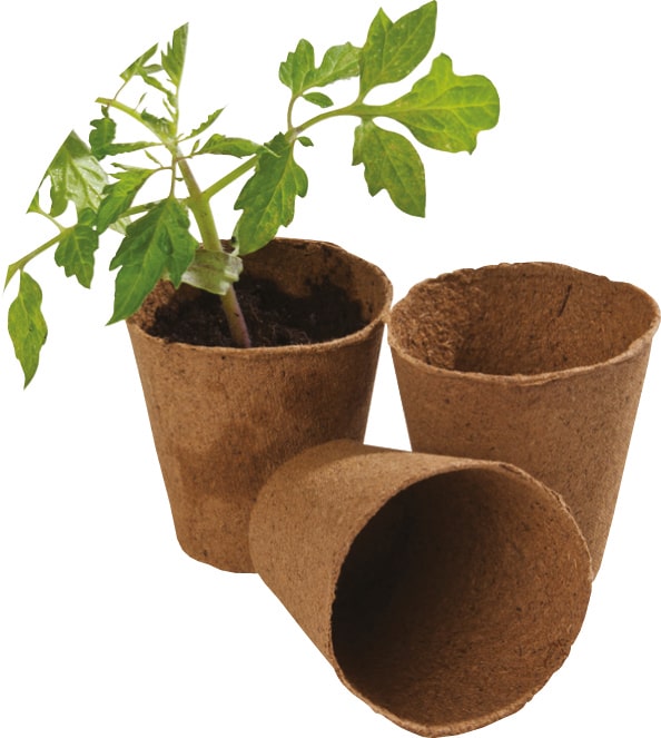 Composting, Soil, Seeds and Potting